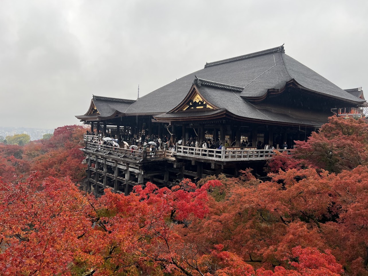 Cherry Blossoms & Quiet Temples